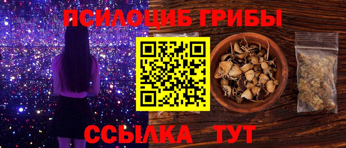 Краснотурьинск  Галлюциногенные грибы прущие грибы  Псилоцибиновые грибы Cubensis  Вход с VPN 
